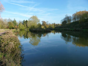 Hunstrete Lakes, from the fishery's own website
