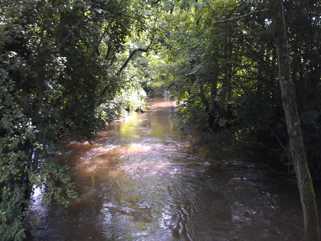 River Chew Compton Dando Bathampton Angling Association