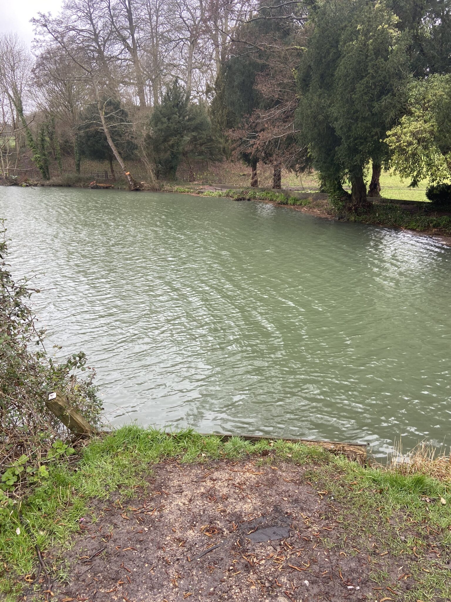 newton-park-peg-1-bathampton-angling-association