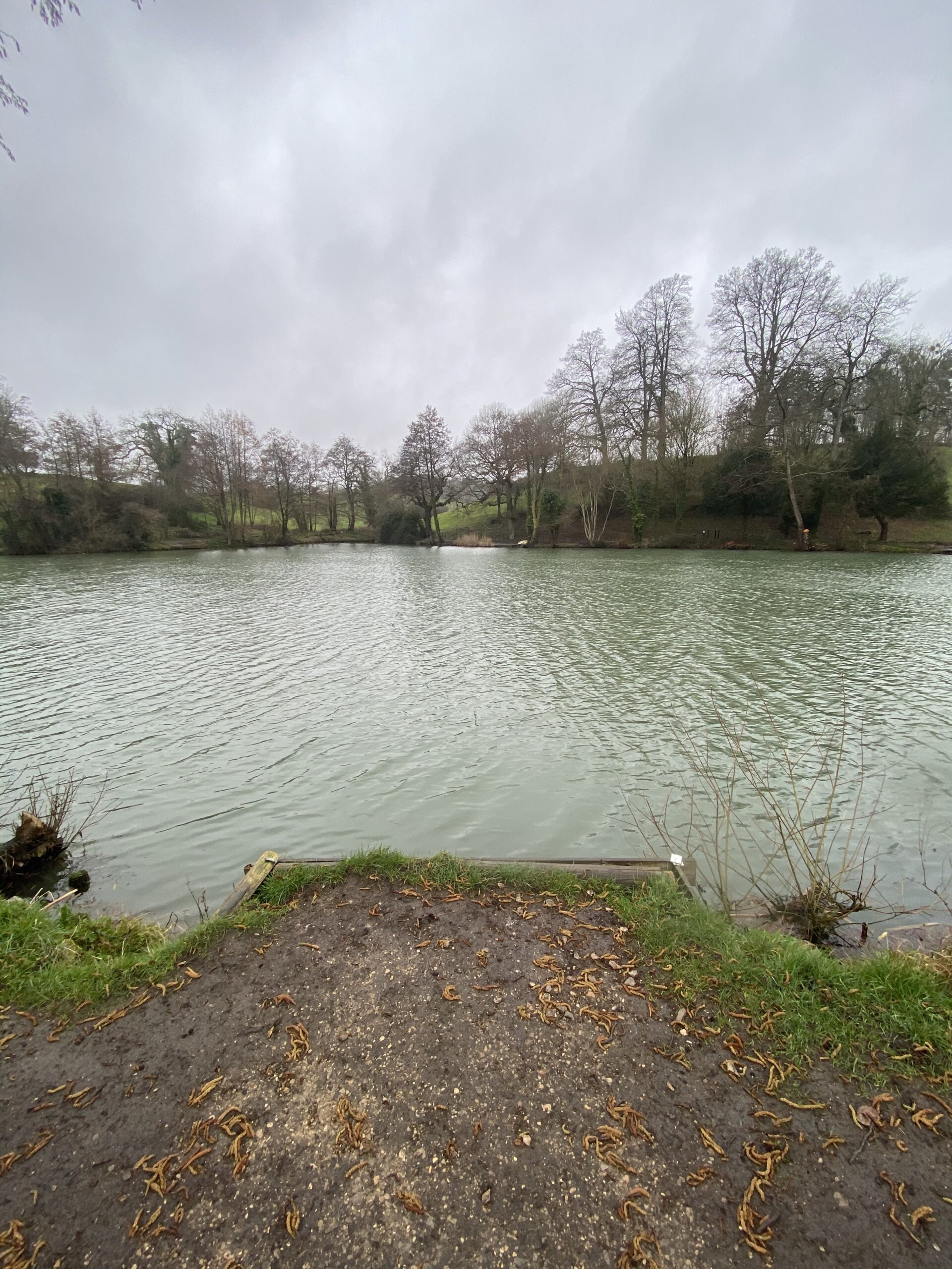 Newton Park Peg 4 Bathampton Angling Association